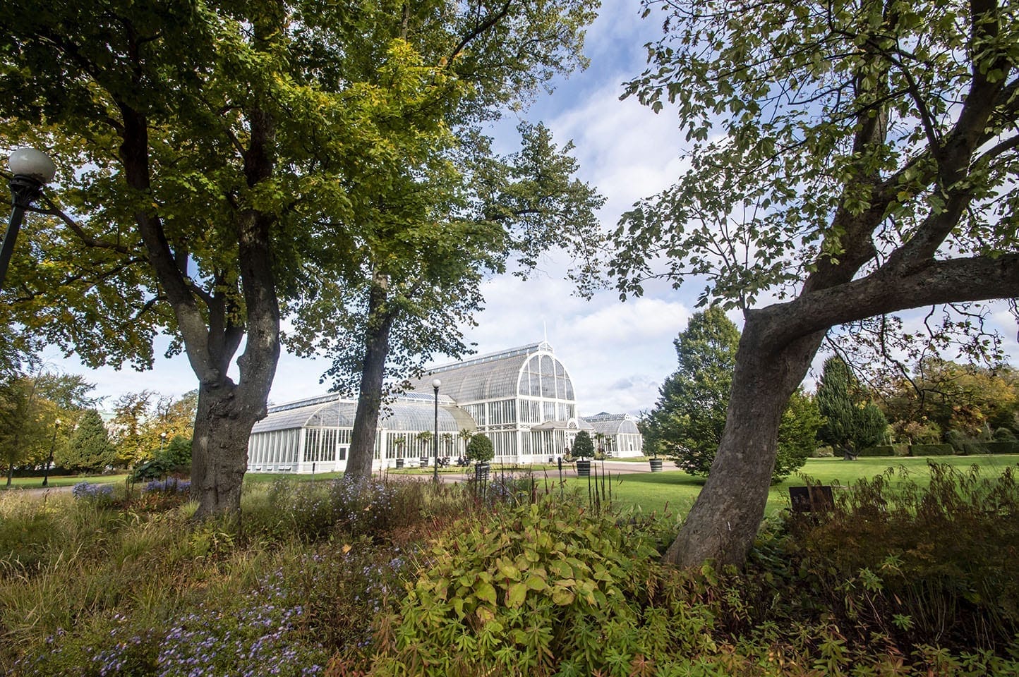 Palmenhaus im botanischen Garten von Göteborg. Foto: © CRUCERO